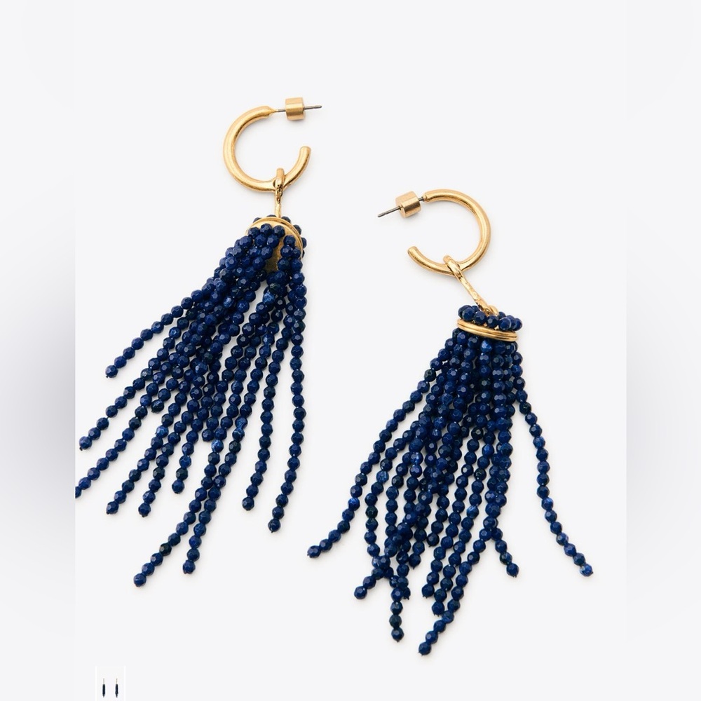 Zara Gold and Navy Tassel Earrings